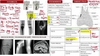 Traumatología  5 RM19 2V DIA 2 TRAUMA OSTEOMIELITIS TUMORES OSEOS de Qx Medic on Vimeo [upl. by Elesig586]