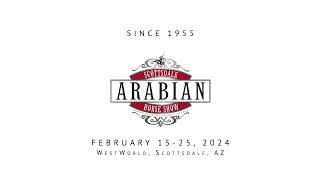 2024 Scottsdale Arabian Horse Show [upl. by Doowle]