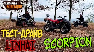 ТЕСТДРАЙВ Квадроциклов LINHAI Z180 LINHAI M150 SCORPION 200CC🔥 [upl. by Ewell]