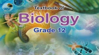 Composition and Organization of chromosome xii Biology NBF [upl. by Saint]