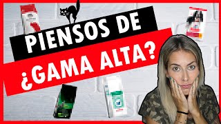 PIENSO ROYAL CANIN Y OTRAS quotGAMAS ALTASquot💥  ¿SEGURO que son GAMA ALTA 🧐😣 [upl. by Meihar]