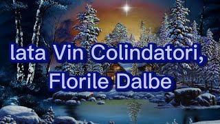 lata Vin Colindatori Florile Dalbe VersuriLyrics Video [upl. by Jaeger]