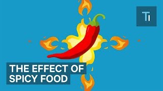 How Eating Spicy Food Affects Your Brain And Body  The Human Body [upl. by Lemhar]