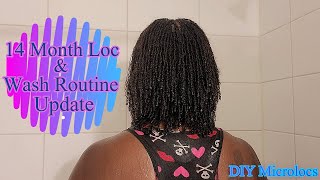 DIY Microlocs  14 MONTH UPDATE  WASH ROUTINE  Loc Journey  Interlocks [upl. by Bolan]