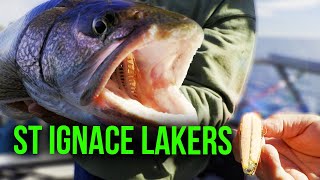 Unleashing the Thrill of Lake Trout Fishing in St Ignace [upl. by Rowney364]