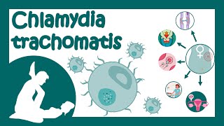 Chlamydia trachomatis  Chlamydial infection  Sexually transmitted disease  Treatment of Chlamydia [upl. by Uird]