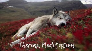 Therian Meditation remake [upl. by Baruch]