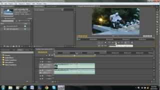 How to Remove Audio in Adobe Premiere Pro [upl. by Nortna]