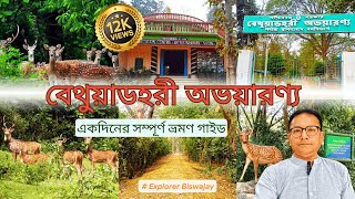 Bethuadahari Forest বেথুয়াডহরীর জঙ্গলে I Weekend Tour near Kolkata Bethuadahari Wildlife Sanctuary [upl. by Artie]