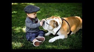 Bulldogs and Babies compilation [upl. by Frankie]