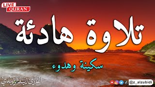 تلاوة هادئة ورائعة سورة يس القارئزيدالزبيدي القرانالكريم everydaysurah [upl. by Lynne]