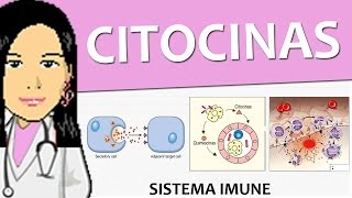 Imunologia 03  Citocinas Imunidade inata  Vídeo aula de sistema imune [upl. by Dylana360]