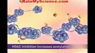 Histone acetylation and cancer Rate My Science [upl. by Arriec939]