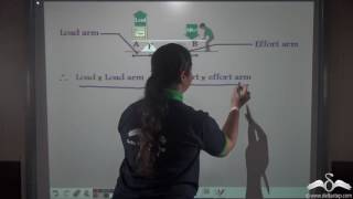 Principle of Levers  Machine  Class 6  CBSE  NCERT  ICSE [upl. by Ysle887]