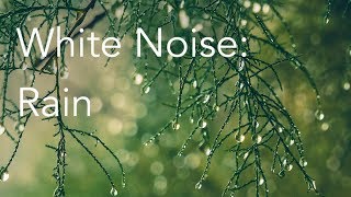 Rain Sounds for Relaxing Focus or Deep Sleep  Nature White Noise  8 Hour Video [upl. by Aitahs]