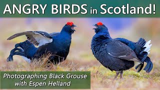 Angry Birds in Scotland  Photographing a Black Grouse Lek with Espen Helland [upl. by Eerazed]