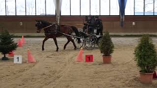 Fahrturnier Heiden Sicon Cup 712024 [upl. by Debora]