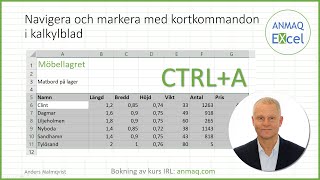 Navigera och markera med kortkommandon i kalkylblad [upl. by Bj334]