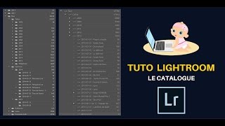 Apprendre Lightroom  Le catalogue [upl. by Mindi]