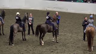 2024 UPHA CH 14 Spring Premier Heidi amp Gus in WT Saddle Seat Equitation 11 amp Under Qualifier [upl. by Nevak377]