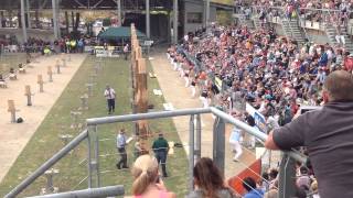 600mm World Championship Double Handed Sawing Final [upl. by Ardnasak]