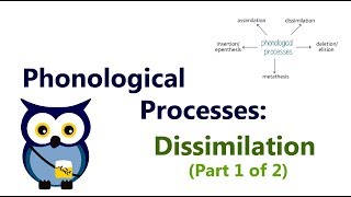 Phonological Processes Dissimilation Part 1 of 2 [upl. by Dasha]