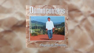 Dominguinhos  quotSanfona Sentidaquot Chegando de Mansinho2002 [upl. by Aleda]