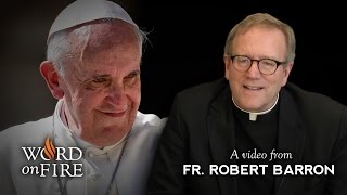 Bishop Barron on The Pope Francis Interview [upl. by Eneloc]