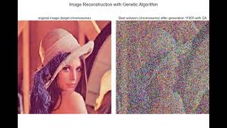 Image Reconstruction  Genetic Algorithm  python [upl. by Avilla]