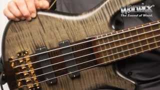 The Warwick Streamer Stage I 5String  Product Demo with Andy Irvine [upl. by Akiemaj]