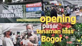 Pasar TANAMAN HIAS terbesar di Bogor [upl. by Buford]