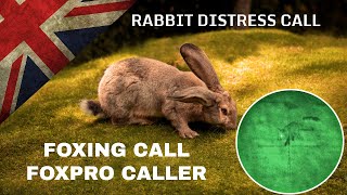 RABBIT DISTRESS SQUEAK CALLFoxing FoxPro CallerFoxing Hunting Pest Control Sound Effect  1 hour [upl. by Higginson]