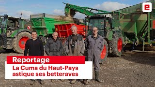 Prix et fonctionnement dune des premières laveuses de betteraves de France [upl. by Harvison546]