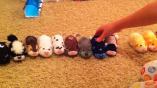 Maddies Zhu Zhu Pet Collection [upl. by Menashem854]