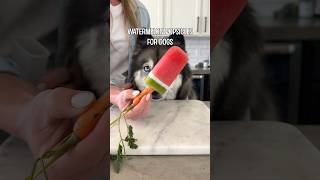 The Perfect Watermelon Dog Treat [upl. by Repooc925]