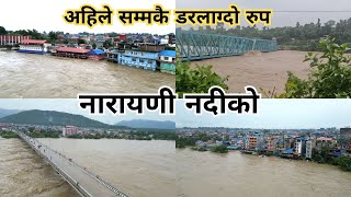 नारायणी नदीले सिमा नाध्यो अहिले सम्मकै डरलाग्दो रुप flood in narayani river 20810612 [upl. by Ianahs]