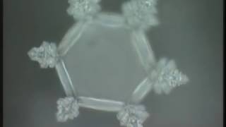 Masaru Emoto  Messages de lEau Documentaire [upl. by Kape]