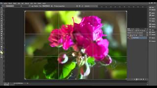 Focus Stacking in Photoshop CS6 [upl. by Quirita884]