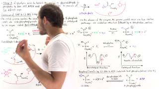 Stage 3 of Glycolysis Steps 6 7 [upl. by Hakan]