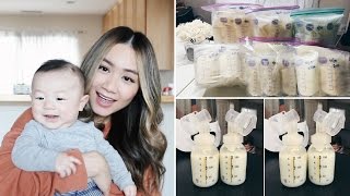 How I Pump 1200 ml of Breastmilk A Day  HAUSOFCOLOR [upl. by Jeana287]