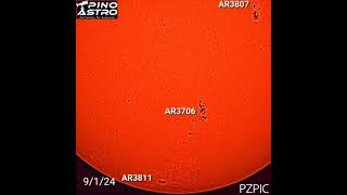 Daily Sunspots September 1 2024 9124 sun solar sunspots seestar solarobservation [upl. by Enair]