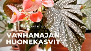 Somepuutarhuri Vanhanajan huonekasvit [upl. by Hgielsel210]