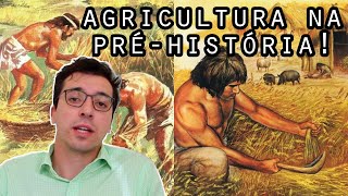 AGRICULTURA NA PRÉHISTÓRIA  história do agro [upl. by Ylil]