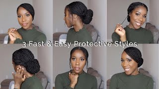 3 Fast amp Easy Protective Styles  Natural Hair  TheLifestyleLuxe [upl. by Yerroc]