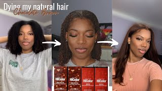 Dying My Natural Hair Chocolate Brown  Loreal HiColor  Gabrielle Amandaaa [upl. by Akeenat]