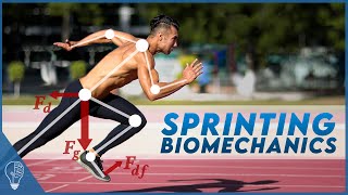 How sprinters use biomechanics to push the limits of the human body [upl. by Omocaig]