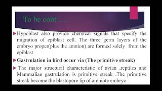 Gastrulation in Chick [upl. by Bobbe812]