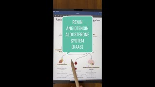 ReninAngiotensinAldosterone System Explained [upl. by Notlil]