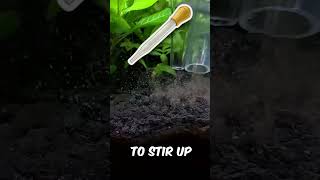 Say Goodbye to Dirty Planted Tanks A StepbyStep Gravel Vacuuming [upl. by Oijile50]