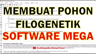 Tutorial Cara Membuat Pohon Filogenetik menggunakan MEGA [upl. by Itraa]